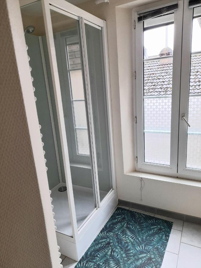 Apartmán Animalier Joigny Exteriér fotografie